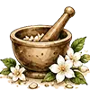 Creates a Revitalizing Experience