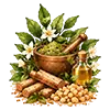  Authentic Natural Essence